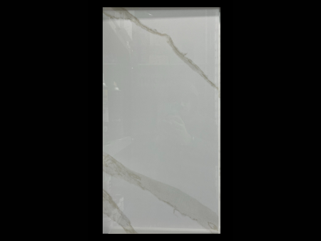 Segway Satvario - 12" x 24"