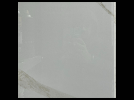 Segway Satvario - 24" x 24"